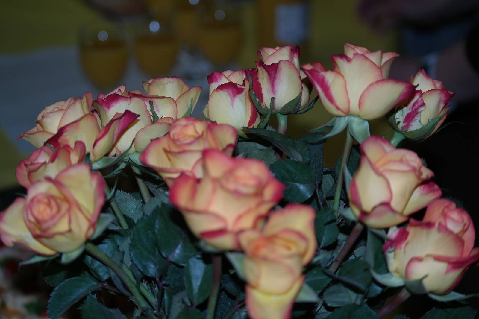 Bild 1 (4)